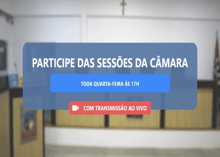 Participe das Sessões da Câmara